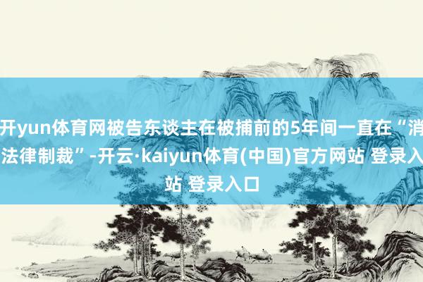 开yun体育网被告东谈主在被捕前的5年间一直在“消失法律制裁”-开云·kaiyun体育(中国)官方网站 登录入口