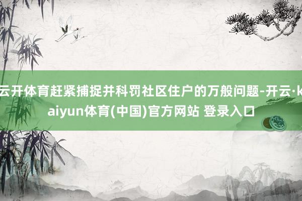 云开体育赶紧捕捉并科罚社区住户的万般问题-开云·kaiyun体育(中国)官方网站 登录入口