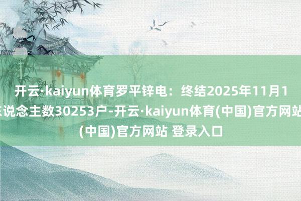 开云·kaiyun体育罗平锌电：终结2025年11月10日鼓励东说念主数30253户-开云·kaiyun体育(中国)官方网站 登录入口