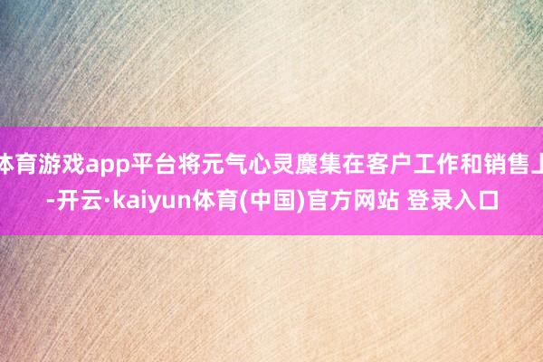 体育游戏app平台将元气心灵麇集在客户工作和销售上-开云·kaiyun体育(中国)官方网站 登录入口